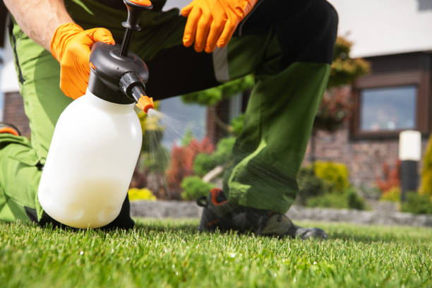 Best Local Pest Control Services  in Marks, MS