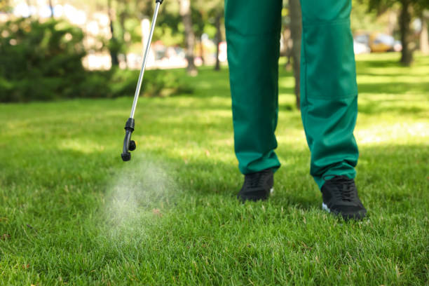 Best Flea Control Services  in Marks, MS