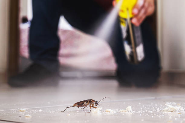 Best Best Pest Control Companies  in Marks, MS