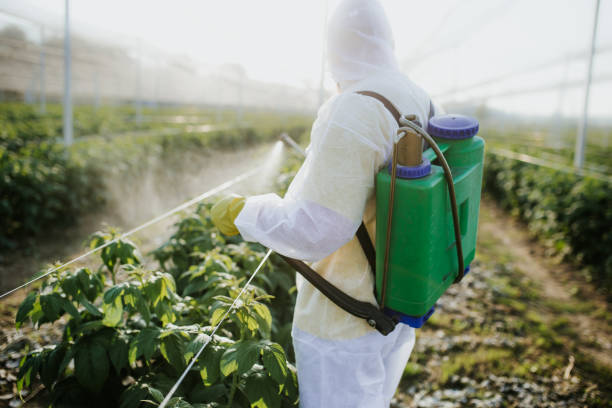 Professional Pest Control in Marks, MS